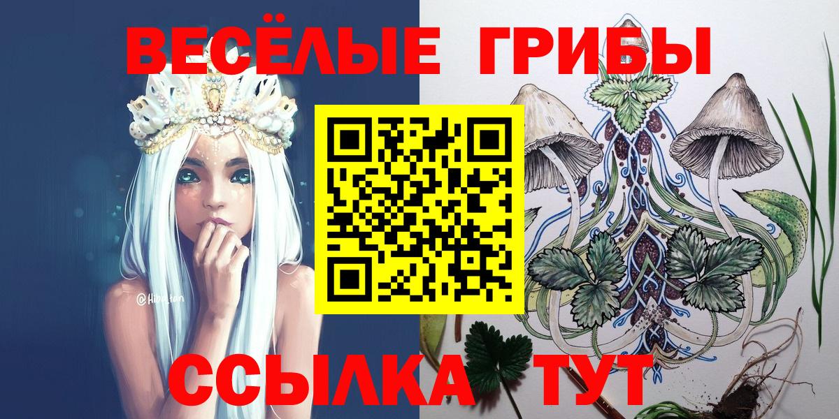 Галлюциногенные грибы мицелий Сунжа