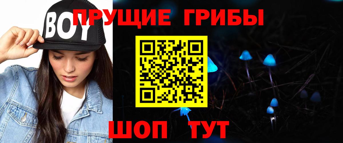Галлюциногенные грибы Magic Shrooms  Вход с VPN  Сунжа 